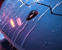 High End Luxury Detailing in Tampa Bay 