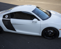 PPF, tampa, Riverview, Brandon